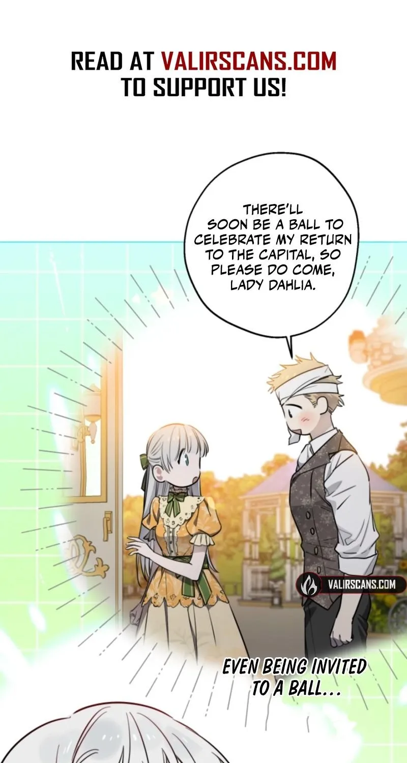 The World