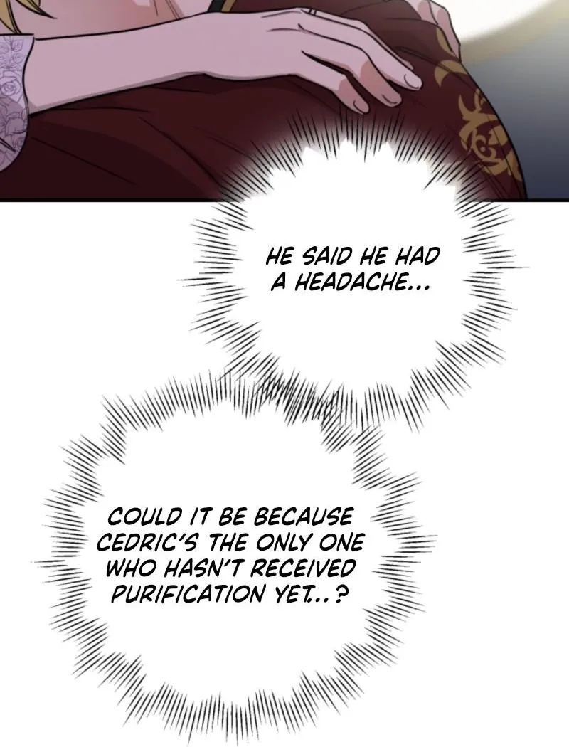 The World