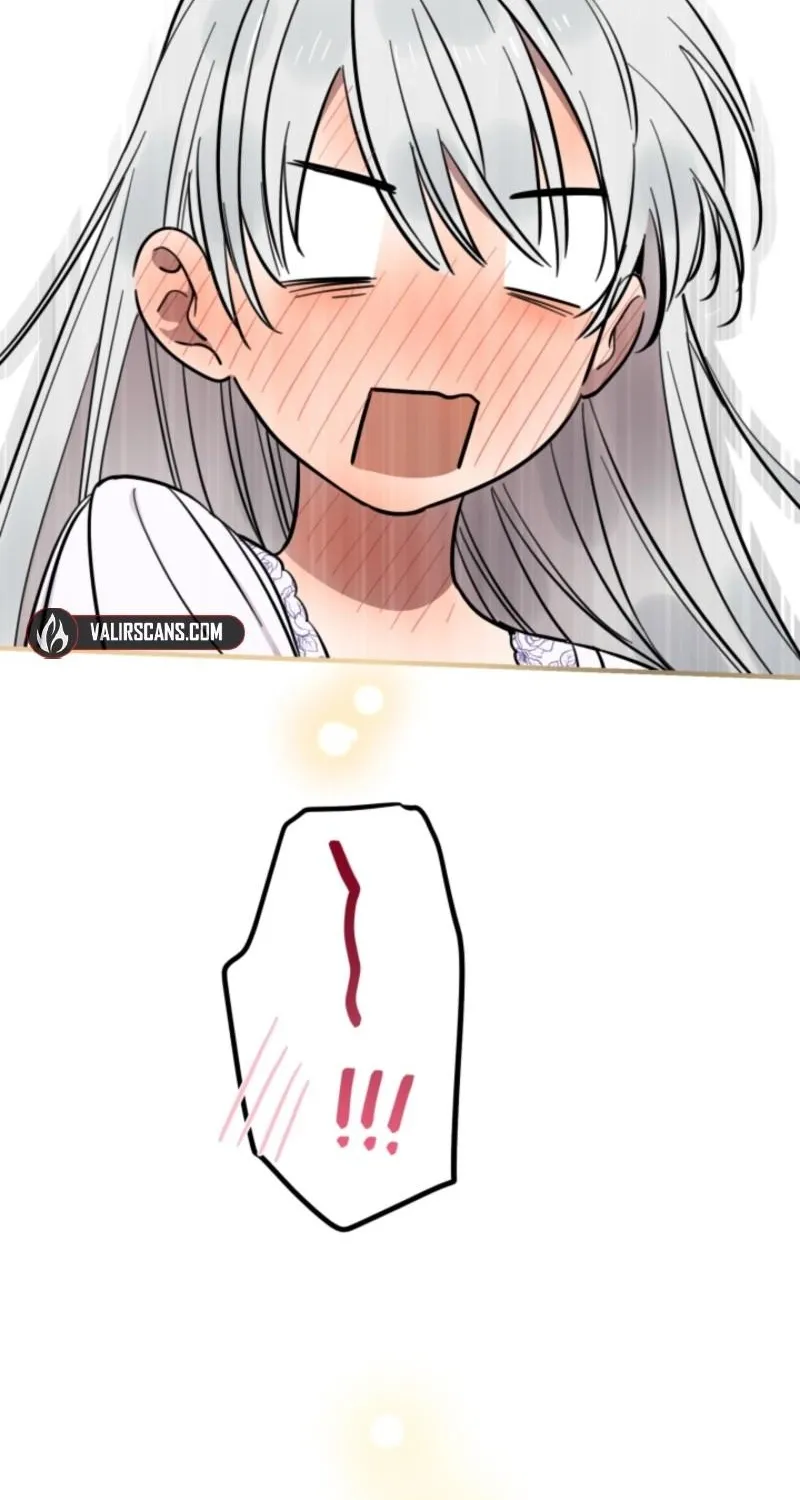 The World