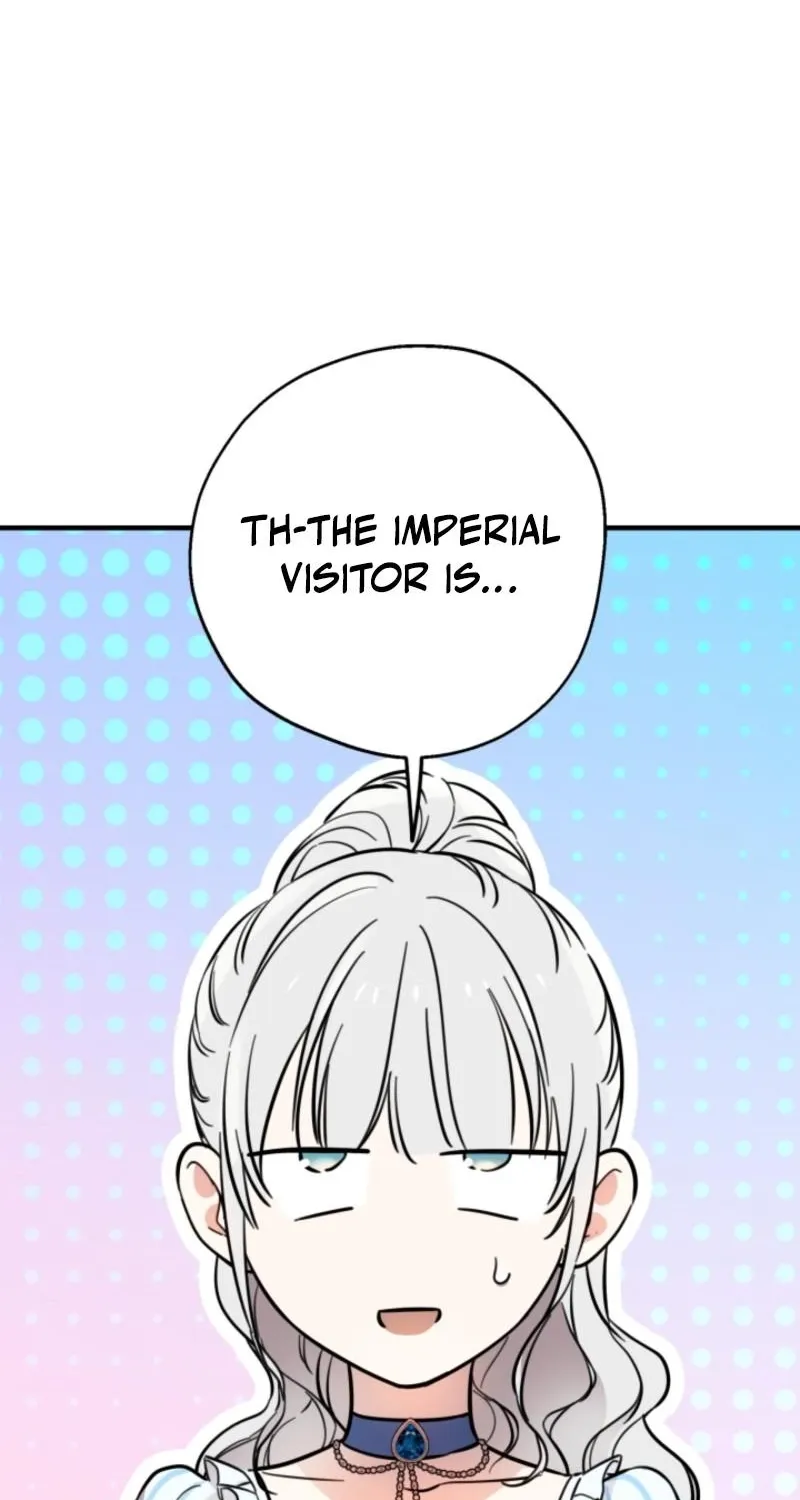 The World