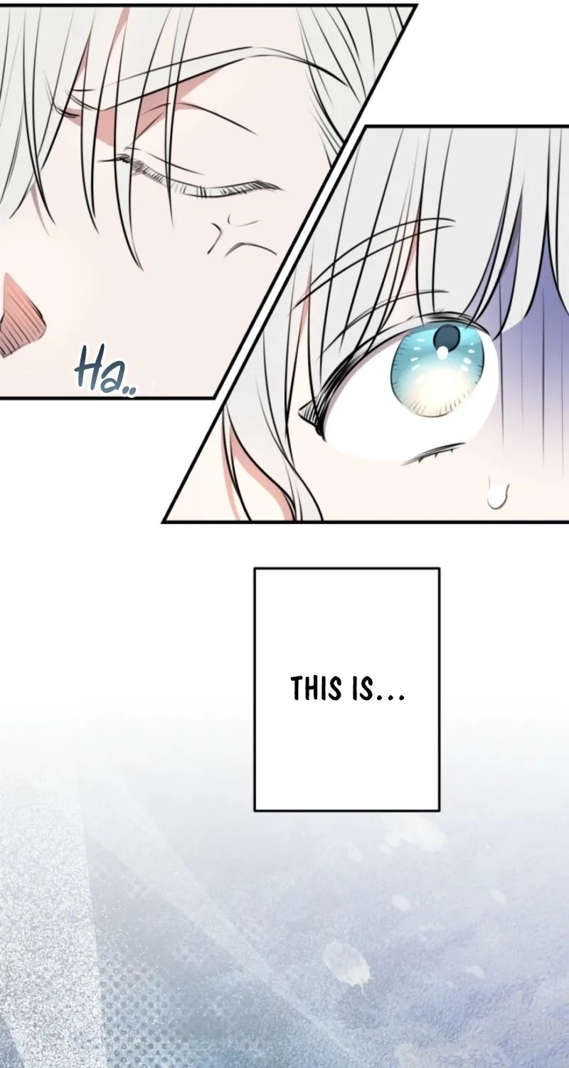 The World
