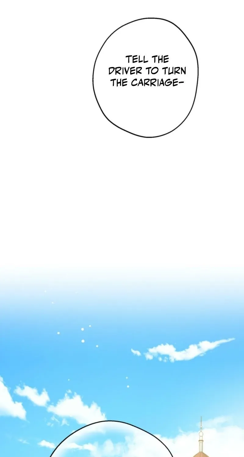 The World