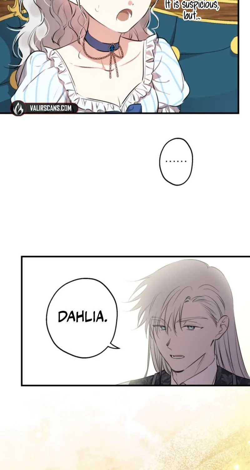 The World