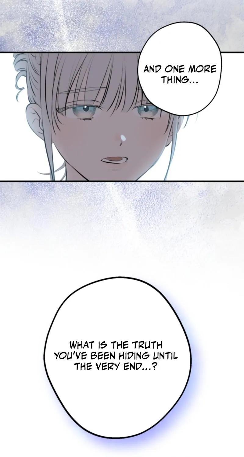 The World