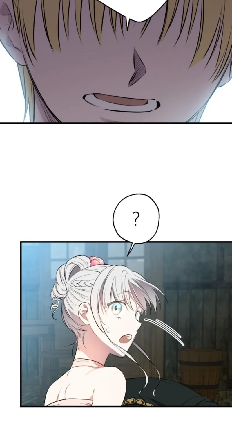 The World
