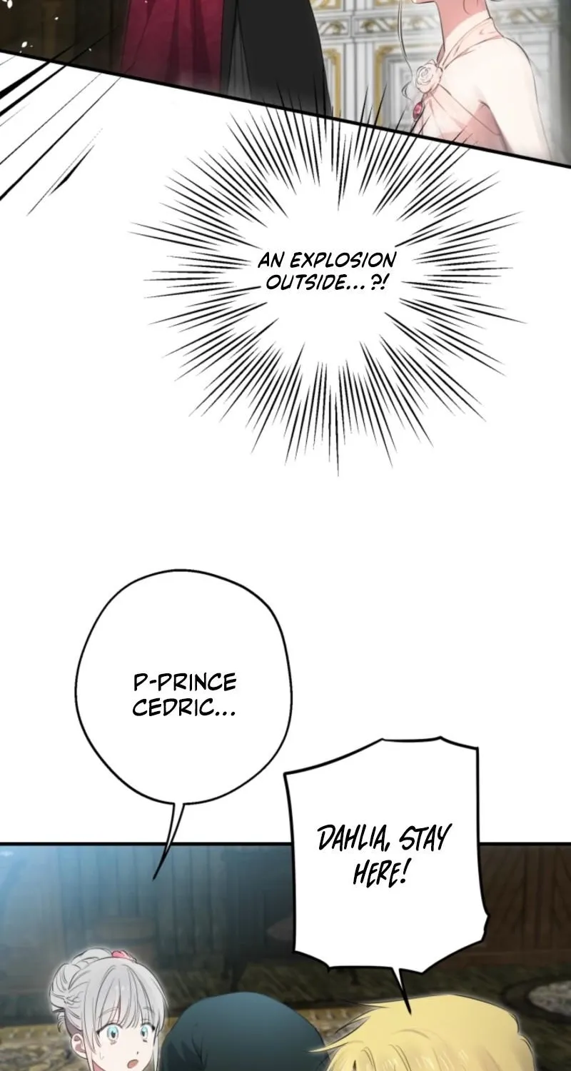 The World