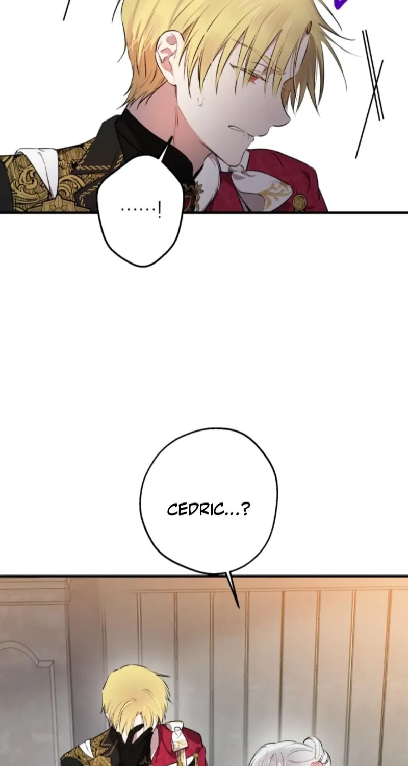 The World