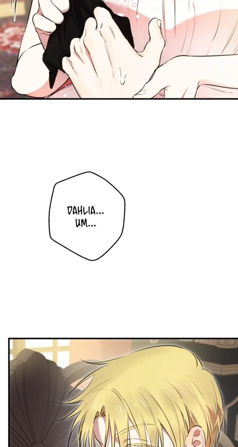The World