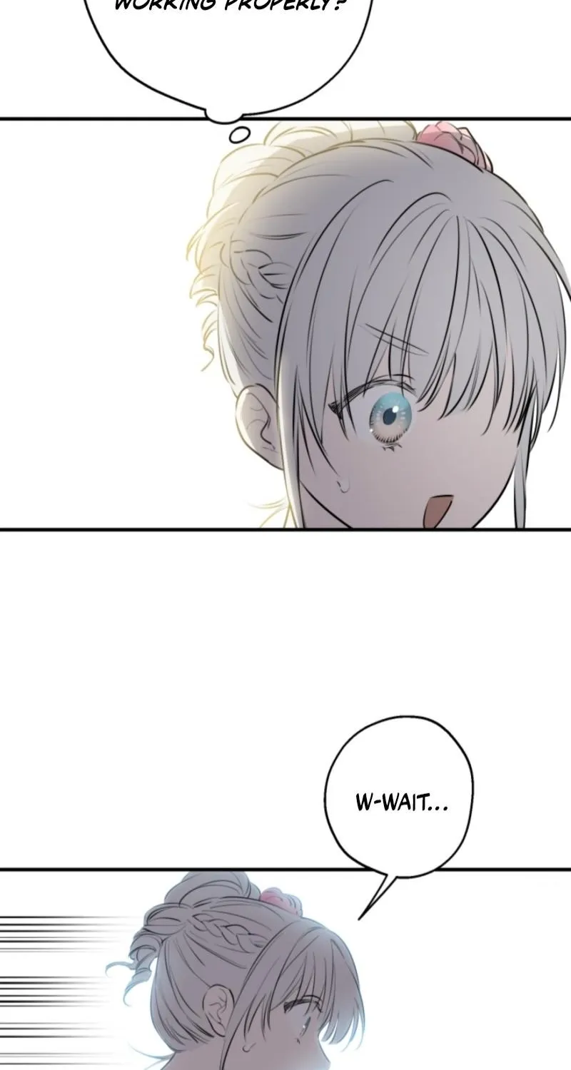 The World