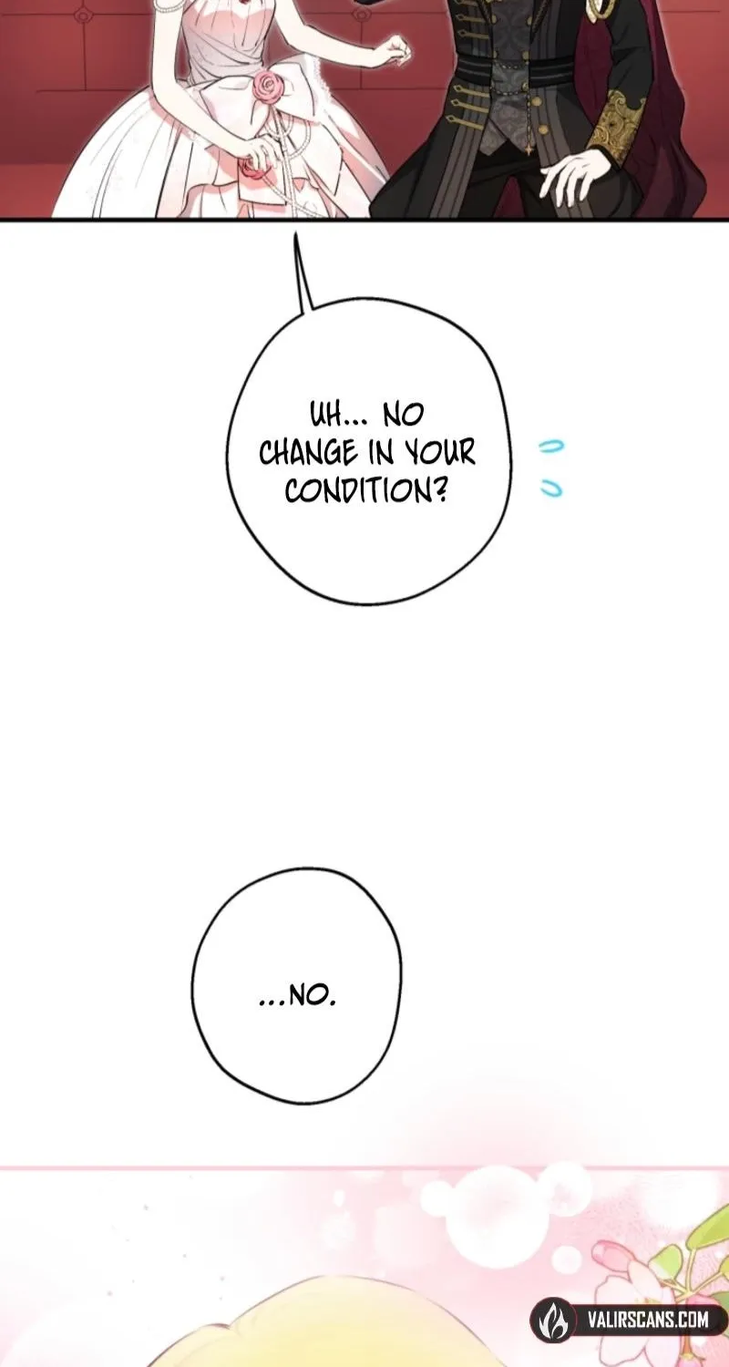 The World