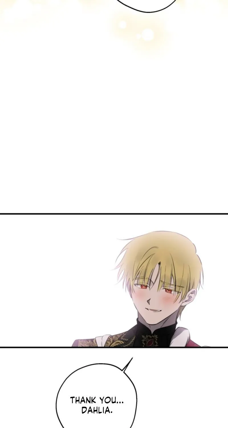 The World
