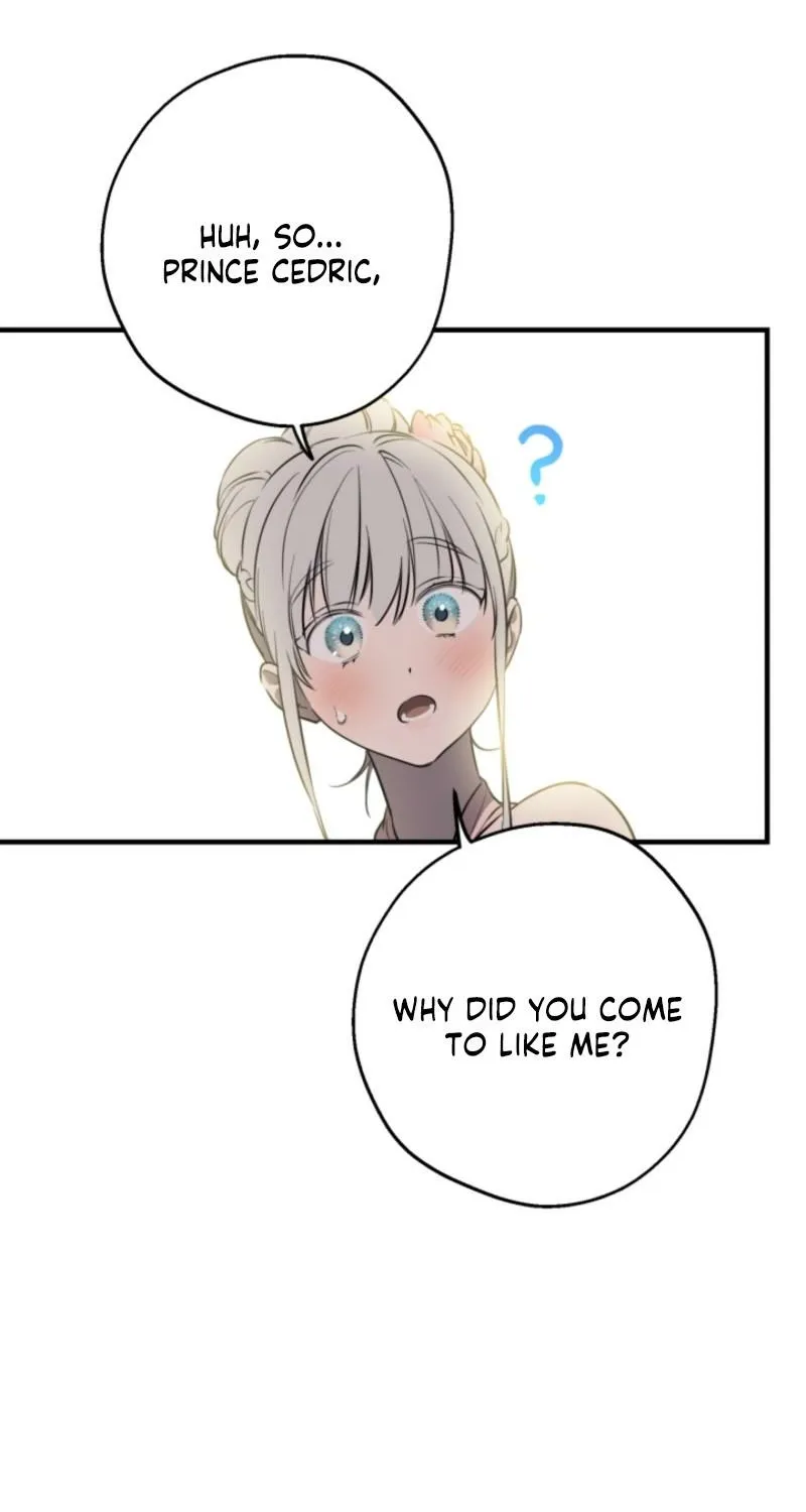 The World