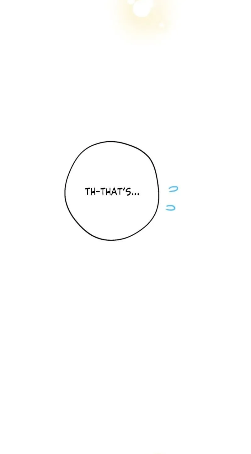 The World