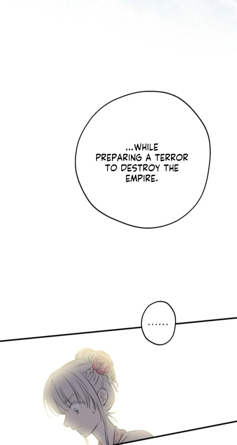The World