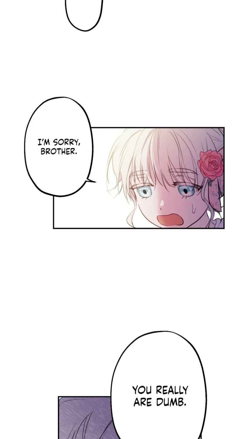 The World