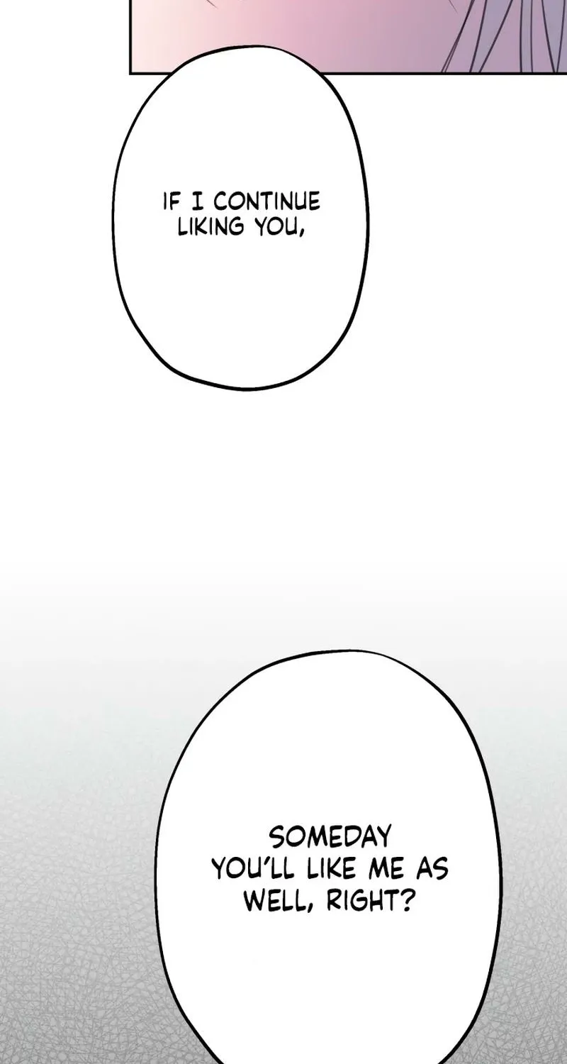 The World