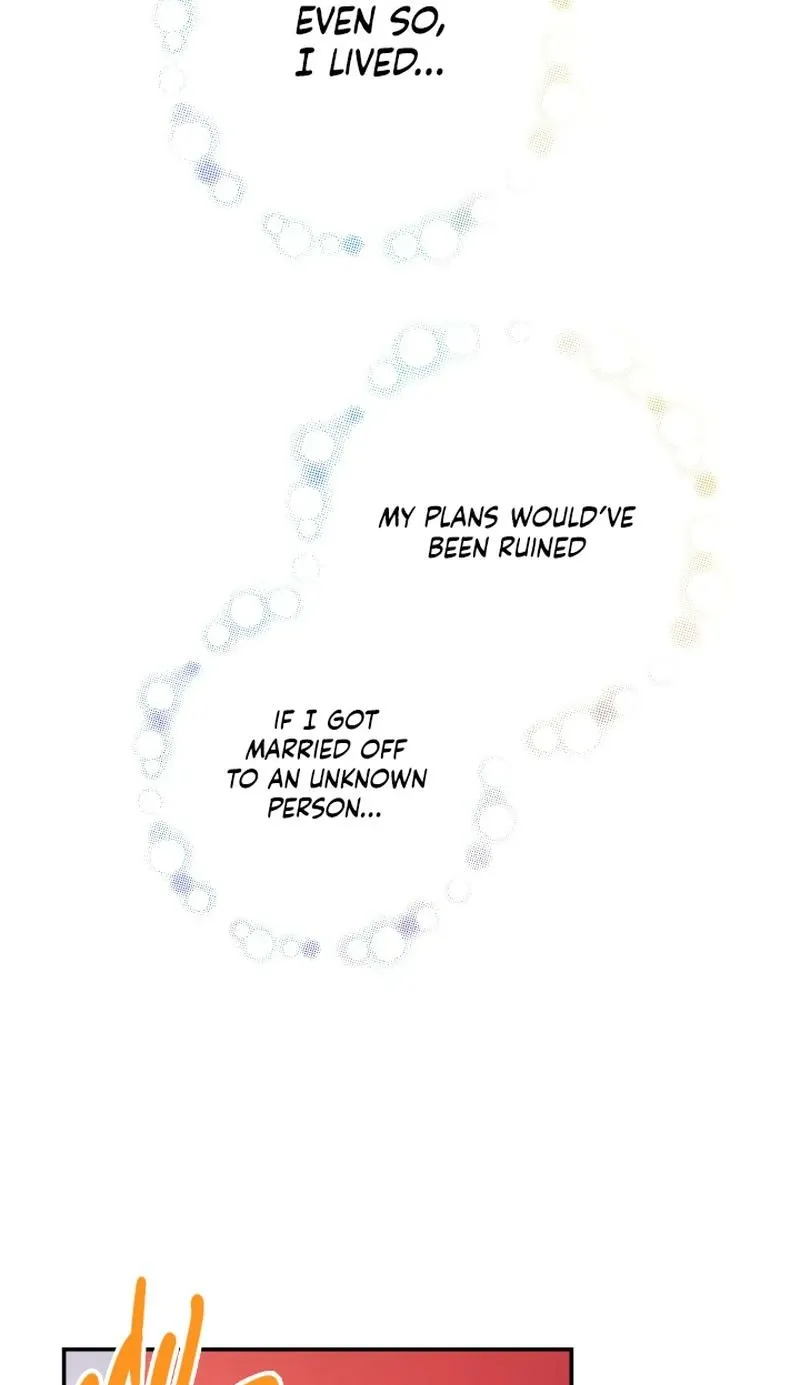 The World