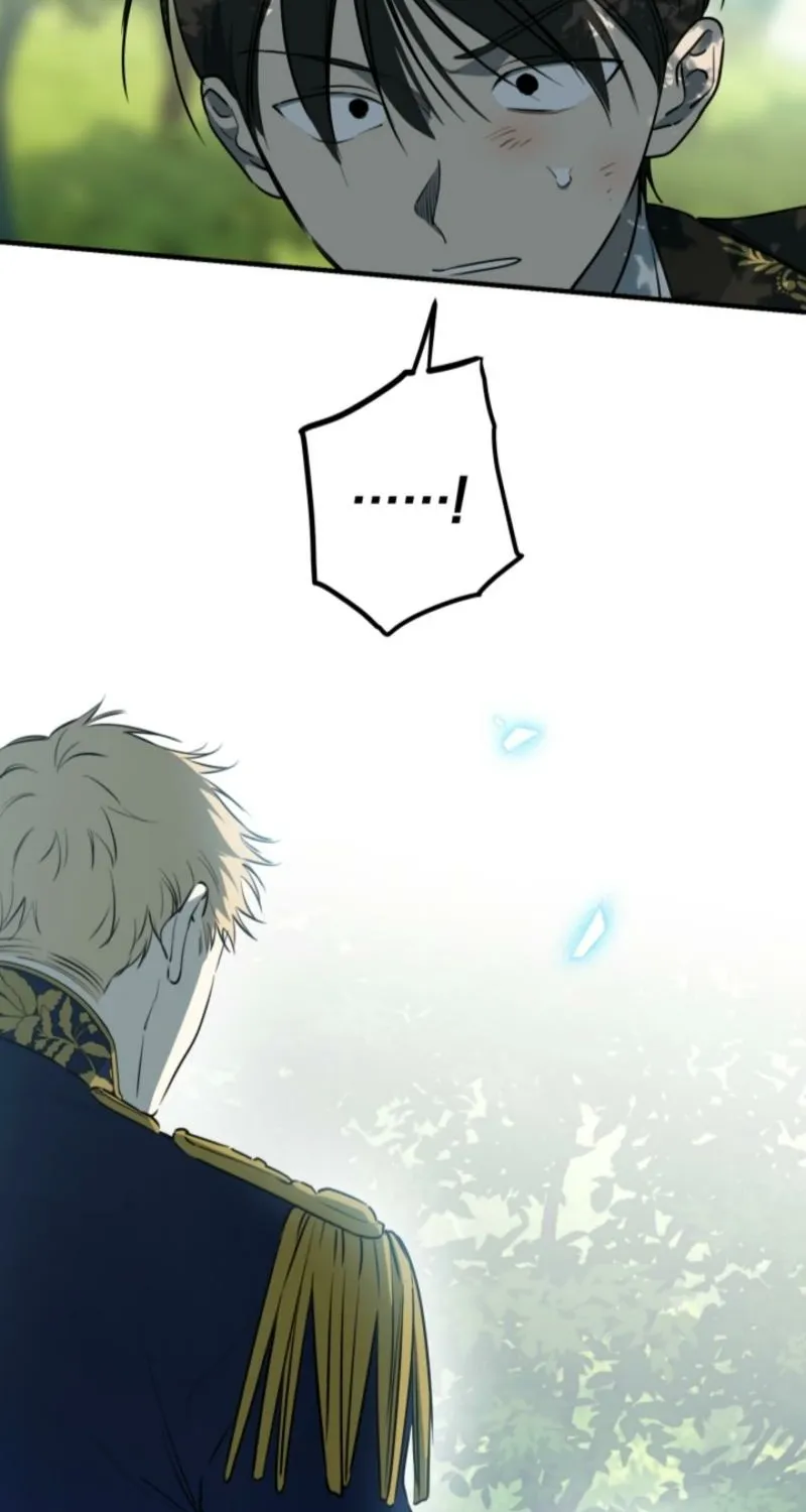 The World