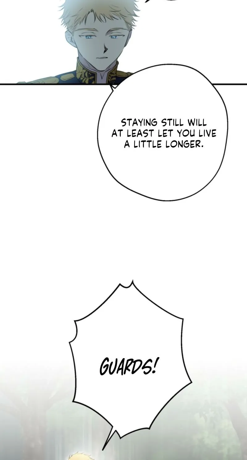 The World