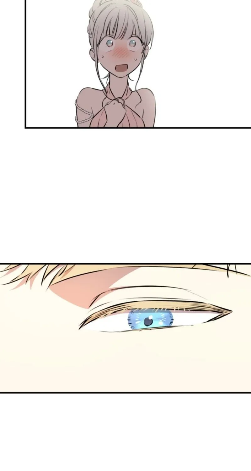 The World