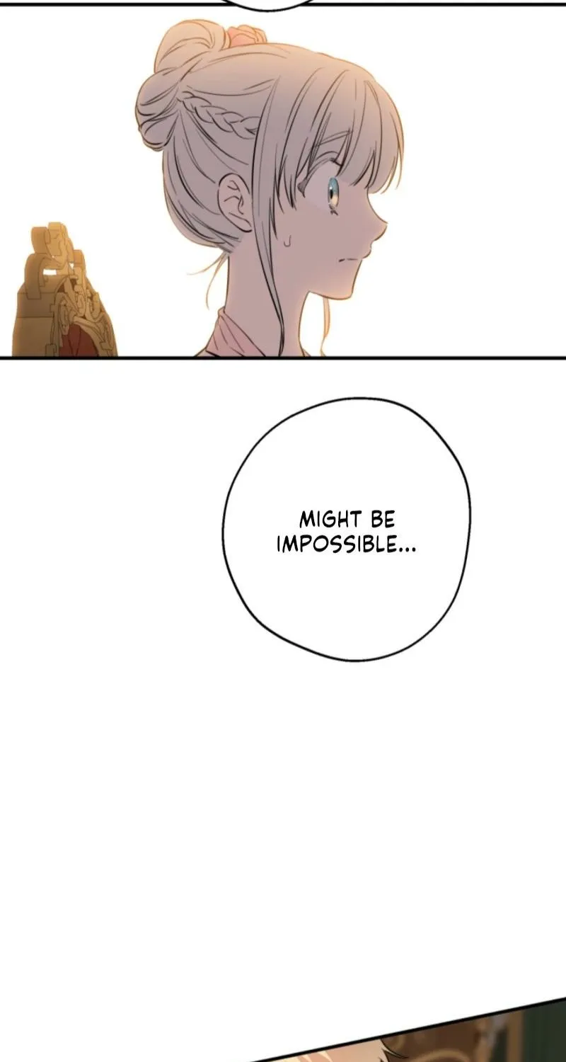 The World