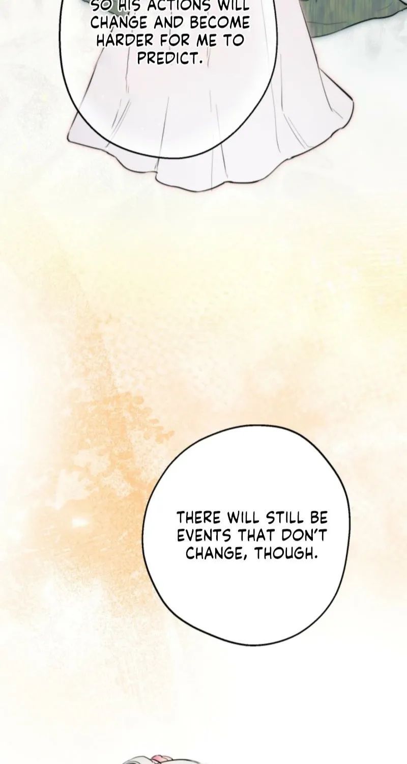 The World