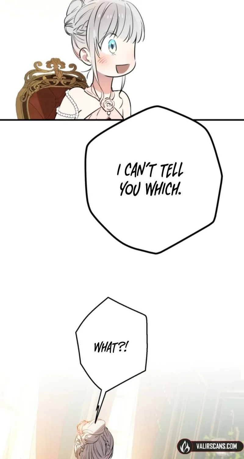 The World
