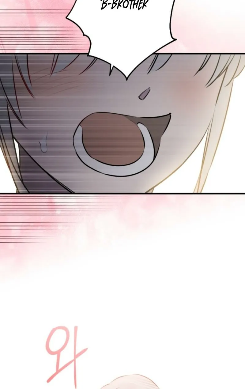 The World