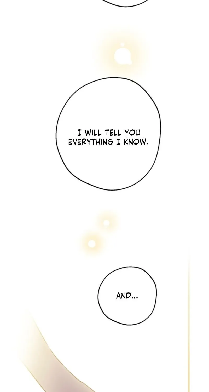 The World