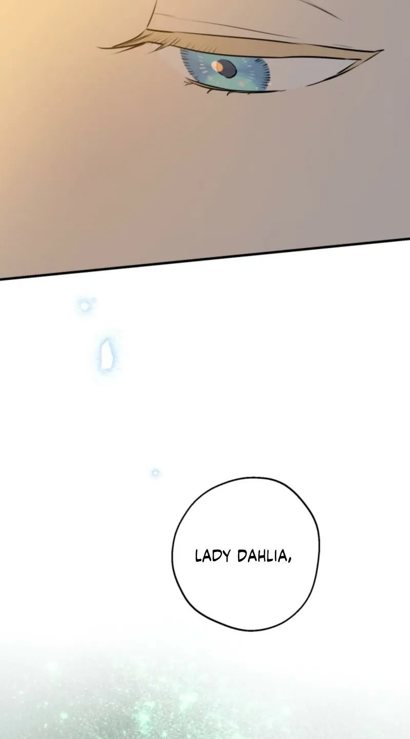 The World