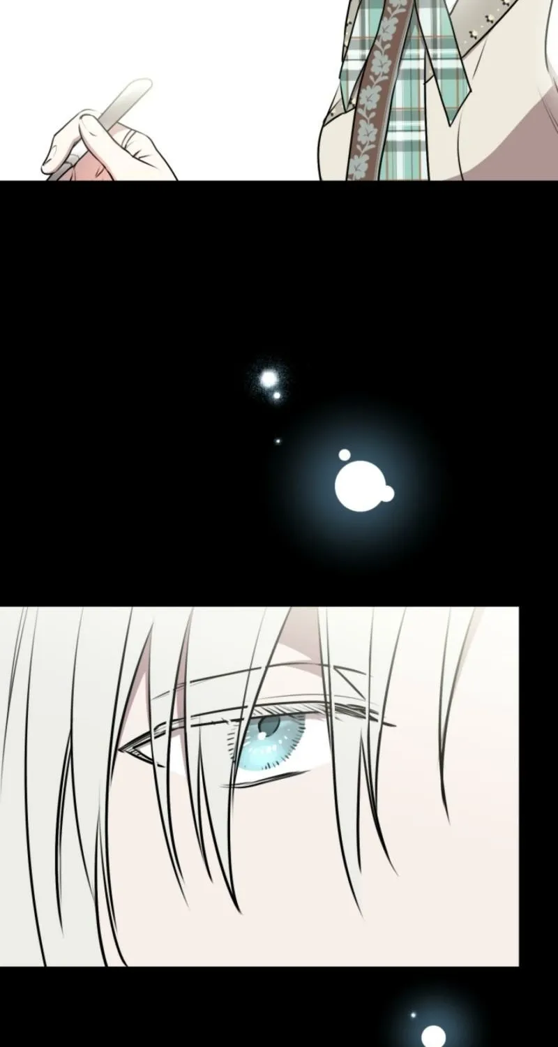 The World