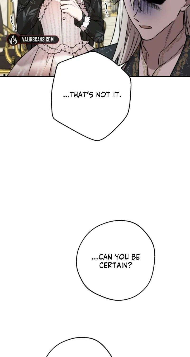 The World