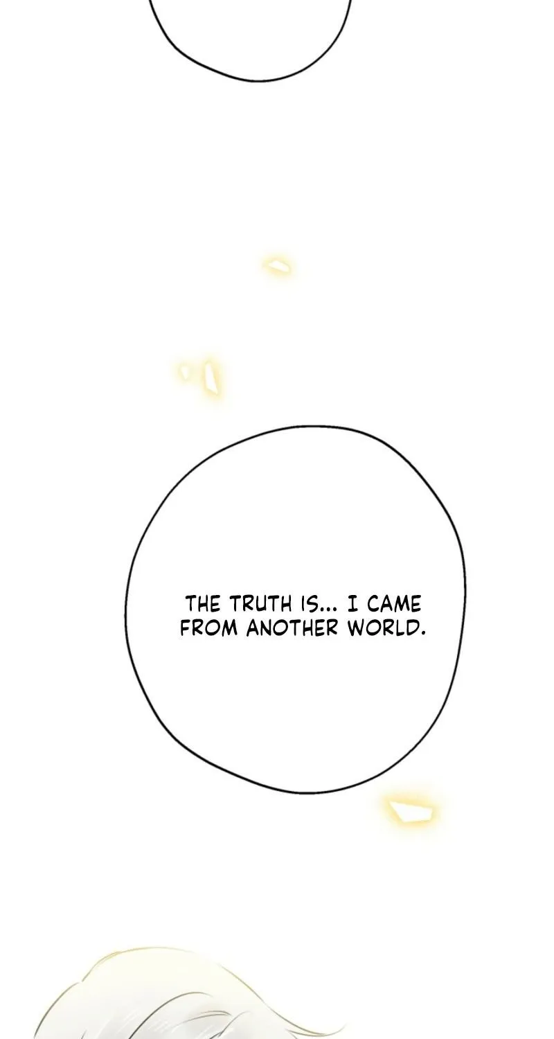 The World