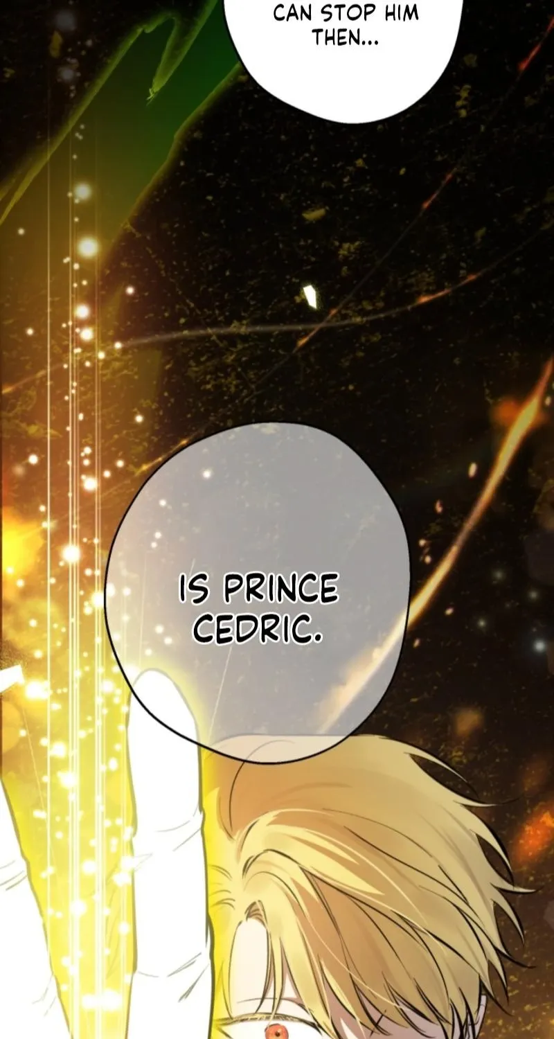The World