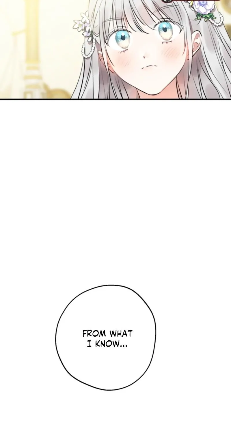 The World
