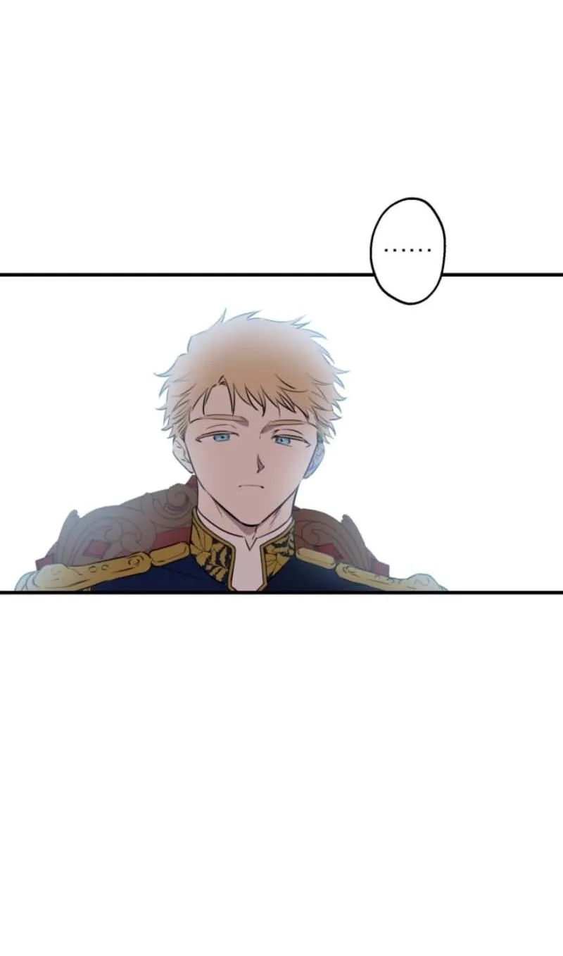 The World