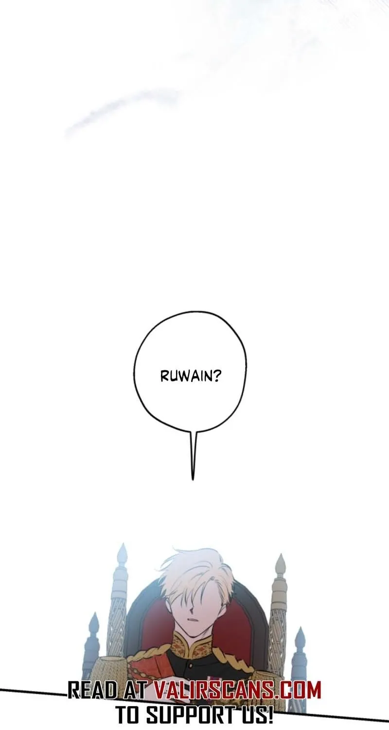 The World