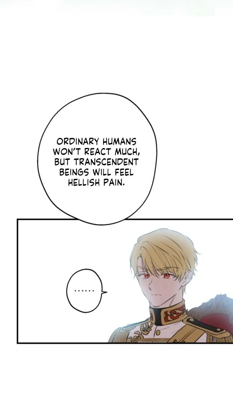 The World