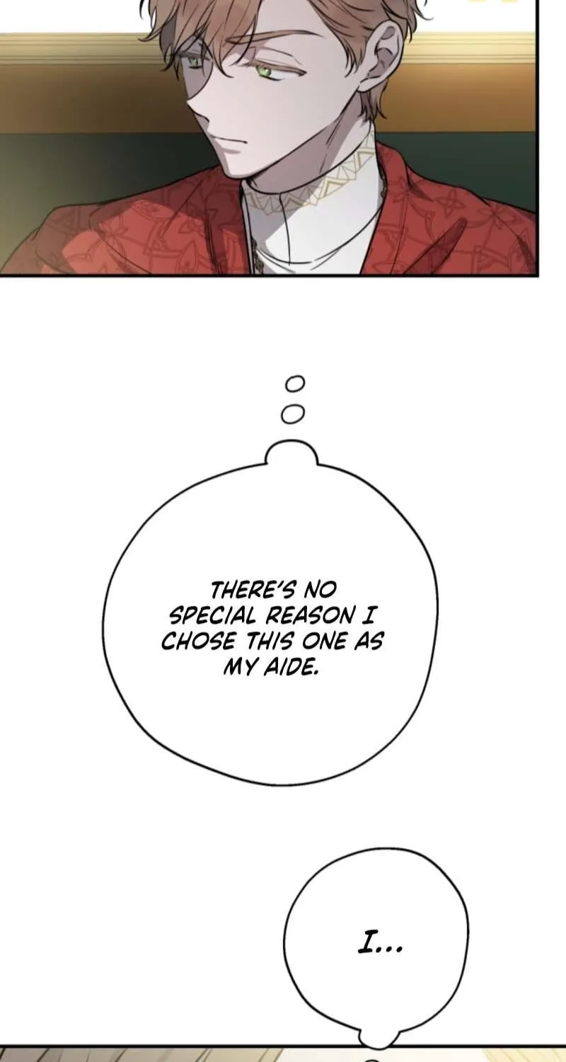 The World