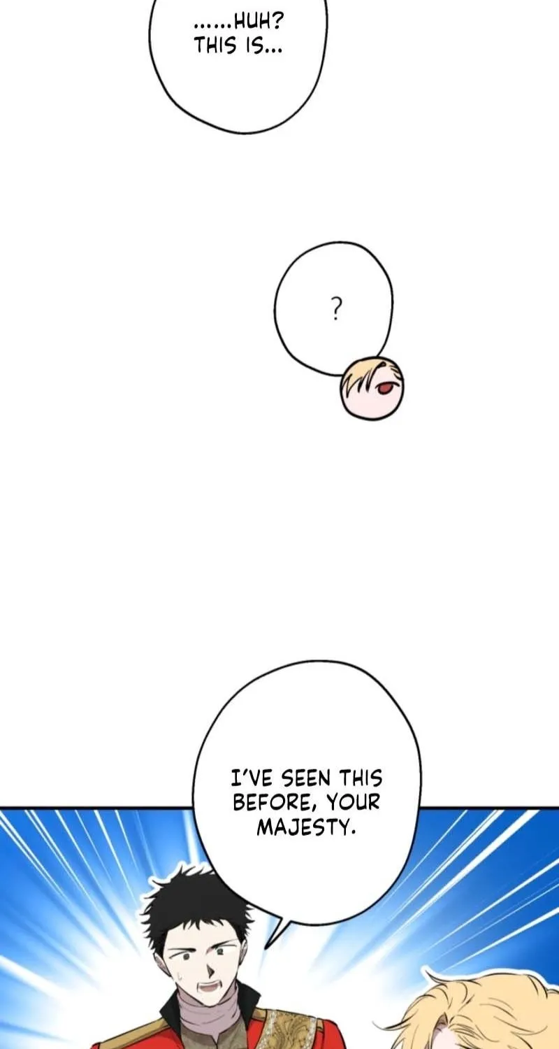 The World