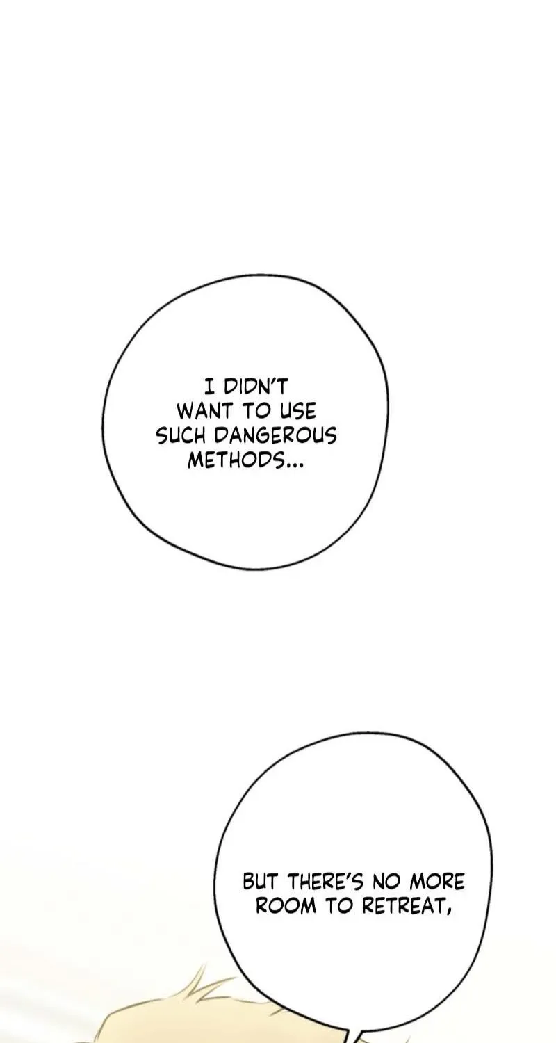 The World