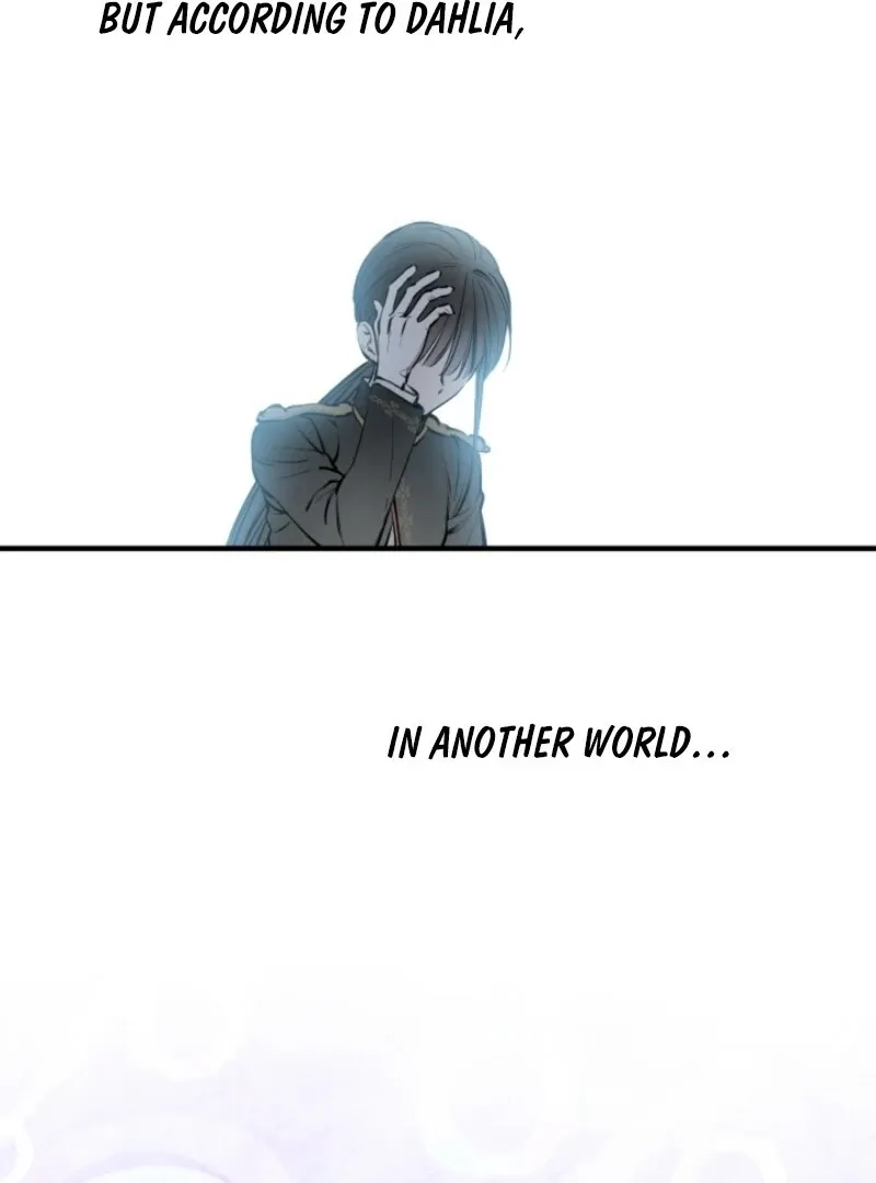 The World