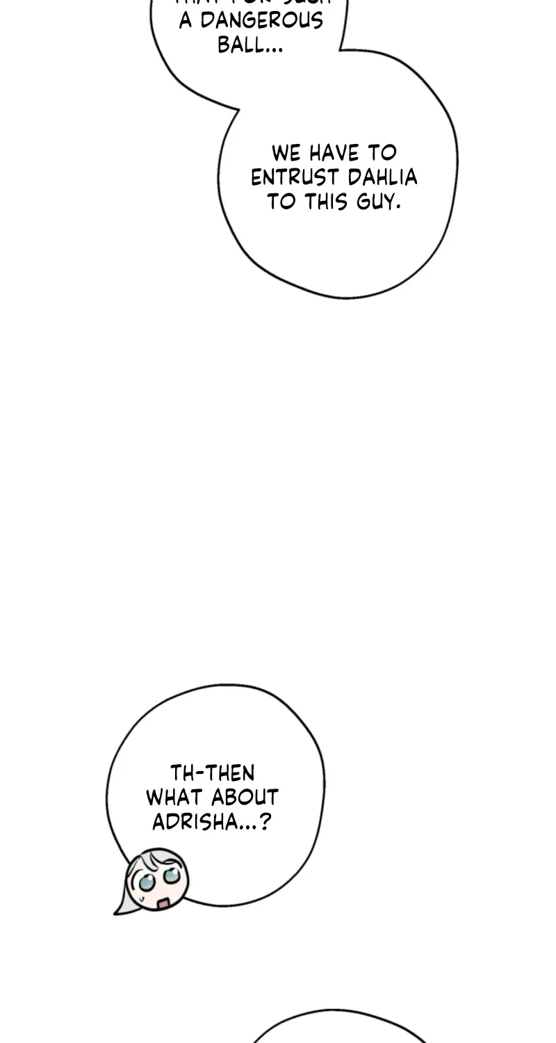 The World