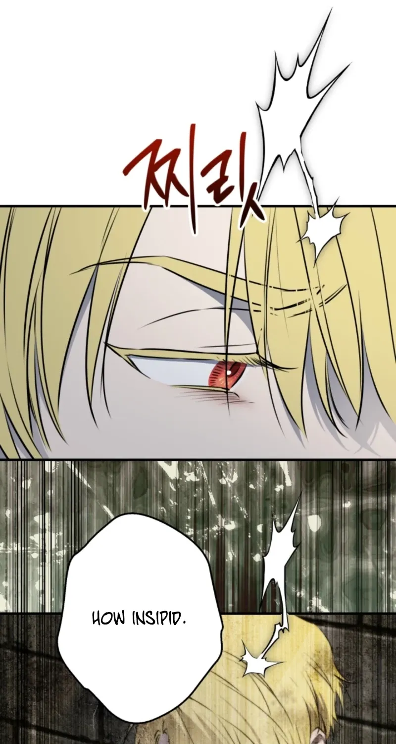 The World