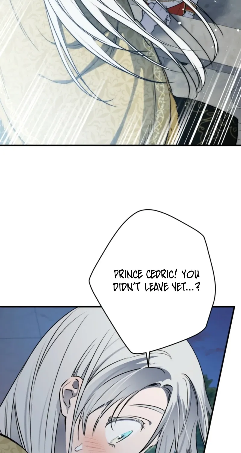 The World