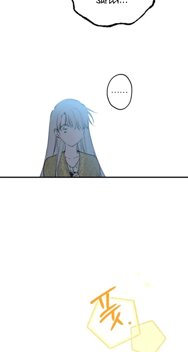 The World