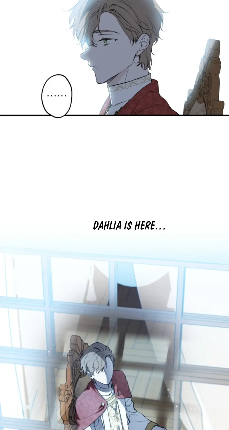 The World