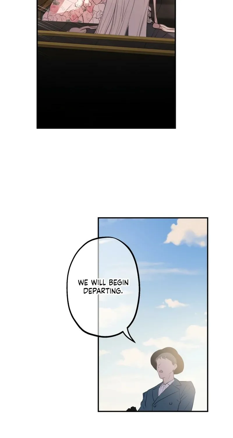 The World