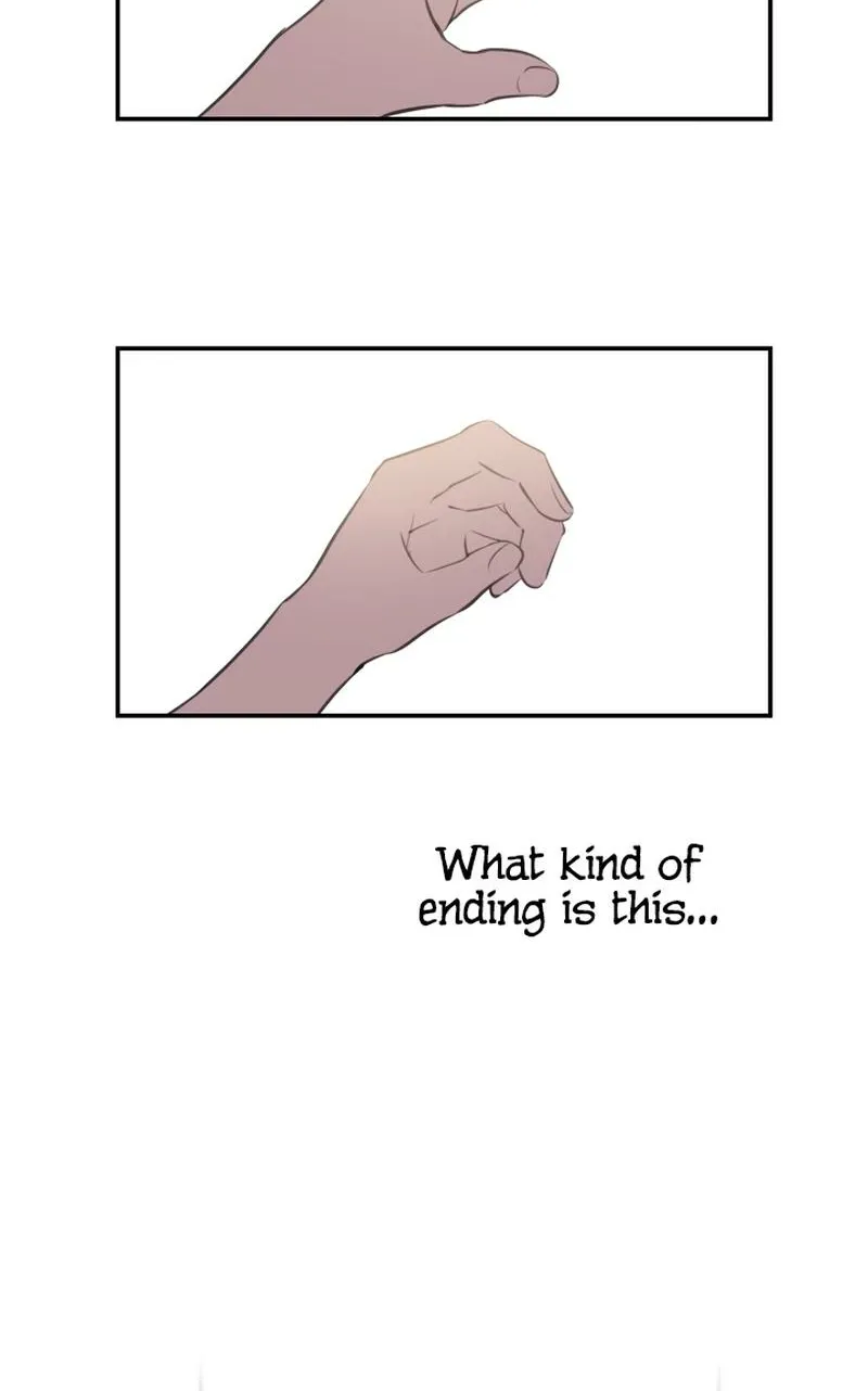 The World