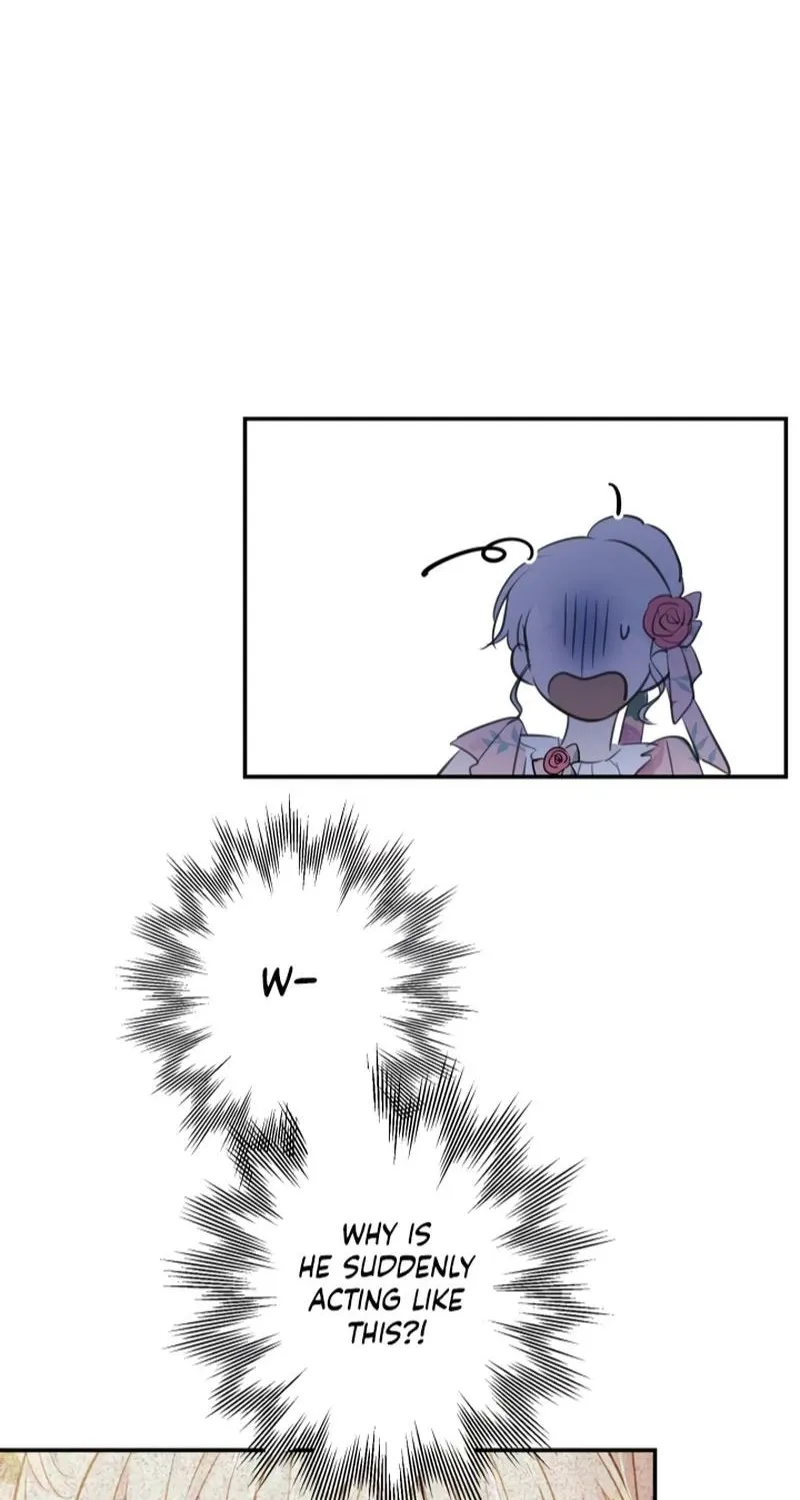 The World